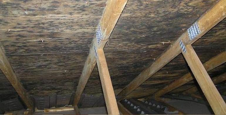 Attic and roof ventilation problems