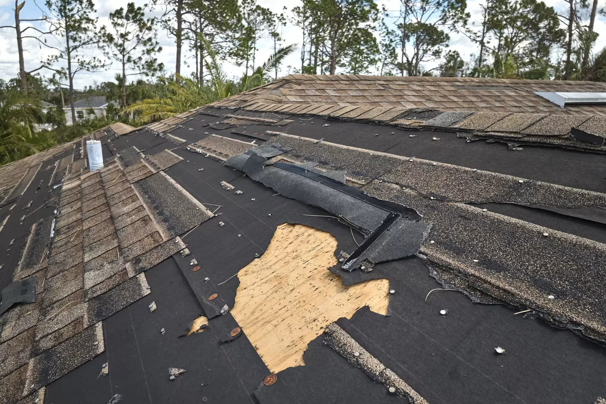 Wind-damaged roof shingles