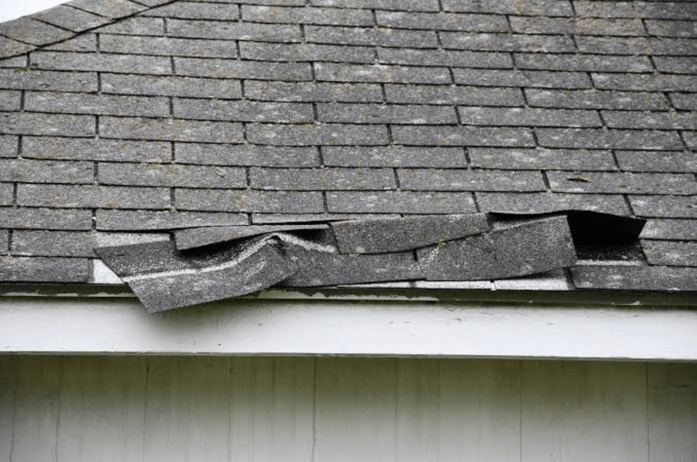 Lifted and broken asphalt shingles along a roof edge Lifted and broken asphalt shingles along a roof edge