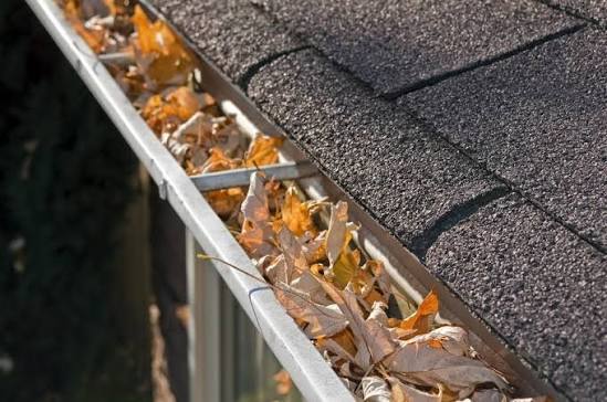 Gutter clogged with dry leaves along the edge of an asphalt shingle roof Gutter clogged with dry leaves along the edge of an asphalt shingle roof